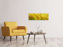Laden Sie das Bild in den Galerie-Viewer, Leinwandbild Panorama Das Weizenfeld
