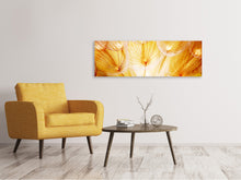 Laden Sie das Bild in den Galerie-Viewer, Leinwandbild Panorama Close Up Pusteblume im Licht