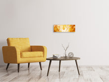 Laden Sie das Bild in den Galerie-Viewer, Leinwandbild Panorama Close Up Pusteblume im Licht