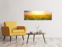 Laden Sie das Bild in den Galerie-Viewer, Leinwandbild Panorama Ein Feld voller Sonnenblumen