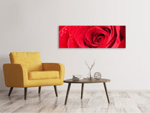 Laden Sie das Bild in den Galerie-Viewer, Leinwandbild Panorama Rote Rose im Morgentau
