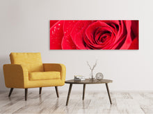 Laden Sie das Bild in den Galerie-Viewer, Leinwandbild Panorama Rote Rose im Morgentau