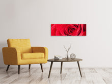 Laden Sie das Bild in den Galerie-Viewer, Leinwandbild Panorama Rote Rose im Morgentau