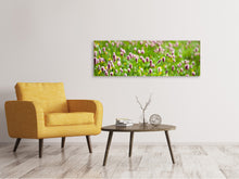 Laden Sie das Bild in den Galerie-Viewer, Leinwandbild Panorama Der Wiesenklee