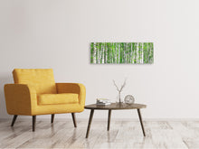 Laden Sie das Bild in den Galerie-Viewer, Leinwandbild Panorama Der Birkenwald