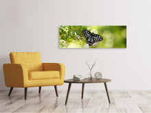 Laden Sie das Bild in den Galerie-Viewer, Leinwandbild Panorama Papilio Schmetterling XXL