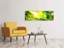 Laden Sie das Bild in den Galerie-Viewer, Leinwandbild Panorama Es grünt so grün