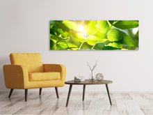 Laden Sie das Bild in den Galerie-Viewer, Leinwandbild Panorama Es grünt so grün
