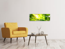 Laden Sie das Bild in den Galerie-Viewer, Leinwandbild Panorama Es grünt so grün