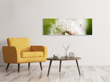 Laden Sie das Bild in den Galerie-Viewer, Leinwandbild Panorama Pusteblume Löwenzahn