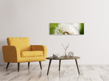 Laden Sie das Bild in den Galerie-Viewer, Leinwandbild Panorama Pusteblume Löwenzahn
