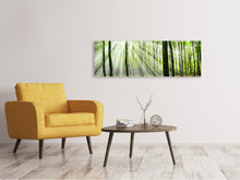 Laden Sie das Bild in den Galerie-Viewer, Leinwandbild Panorama Magisches Licht in den Bäumen