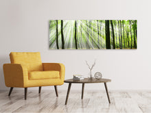 Laden Sie das Bild in den Galerie-Viewer, Leinwandbild Panorama Magisches Licht in den Bäumen