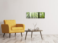 Laden Sie das Bild in den Galerie-Viewer, Leinwandbild Panorama Magisches Licht in den Bäumen