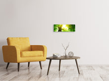 Laden Sie das Bild in den Galerie-Viewer, Leinwandbild Panorama Baum