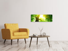 Laden Sie das Bild in den Galerie-Viewer, Leinwandbild Panorama Baum