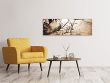 Laden Sie das Bild in den Galerie-Viewer, Leinwandbild Panorama Äste im Schleierlicht