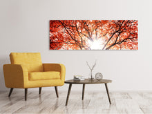 Laden Sie das Bild in den Galerie-Viewer, Leinwandbild Panorama Herbstlicht