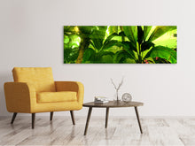 Laden Sie das Bild in den Galerie-Viewer, Leinwandbild Panorama Sonnenaufgang im Regenwald