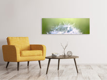 Laden Sie das Bild in den Galerie-Viewer, Leinwandbild Panorama Pusteblume XL im Morgentau