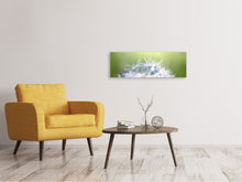 Laden Sie das Bild in den Galerie-Viewer, Leinwandbild Panorama Pusteblume XL im Morgentau