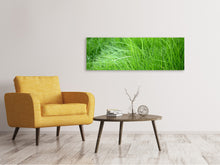 Laden Sie das Bild in den Galerie-Viewer, Leinwandbild Panorama Grashalme