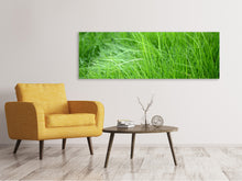 Laden Sie das Bild in den Galerie-Viewer, Leinwandbild Panorama Grashalme