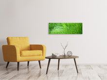 Laden Sie das Bild in den Galerie-Viewer, Leinwandbild Panorama Grashalme
