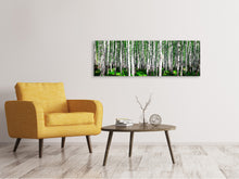 Laden Sie das Bild in den Galerie-Viewer, Leinwandbild Panorama Sommerlicher Birkenwald