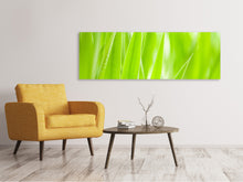 Laden Sie das Bild in den Galerie-Viewer, Leinwandbild Panorama Gras XXL
