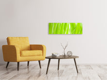 Laden Sie das Bild in den Galerie-Viewer, Leinwandbild Panorama Gras XXL