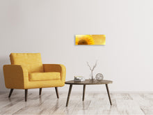 Laden Sie das Bild in den Galerie-Viewer, Leinwandbild Panorama Sonnenblume im Morgentau