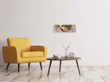 Laden Sie das Bild in den Galerie-Viewer, Leinwandbild Panorama Rosmarin