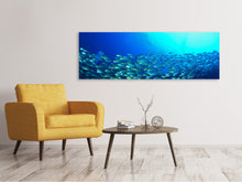 Laden Sie das Bild in den Galerie-Viewer, Leinwandbild Panorama Fischschwarm