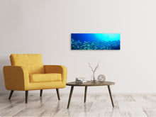 Laden Sie das Bild in den Galerie-Viewer, Leinwandbild Panorama Fischschwarm