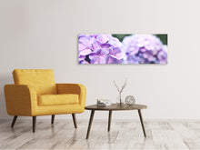 Laden Sie das Bild in den Galerie-Viewer, Leinwandbild Panorama Hortensien