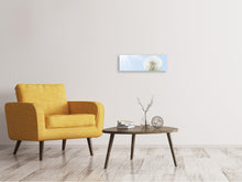 Laden Sie das Bild in den Galerie-Viewer, Leinwandbild Panorama Der Löwenzahn im Sonnenstrahl