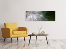 Laden Sie das Bild in den Galerie-Viewer, Leinwandbild Panorama Close up Blütenfasern