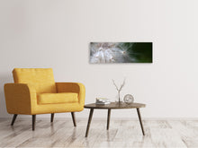 Laden Sie das Bild in den Galerie-Viewer, Leinwandbild Panorama Close up Blütenfasern
