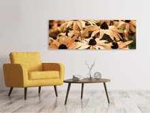 Laden Sie das Bild in den Galerie-Viewer, Leinwandbild Panorama Margeriten in Sepia