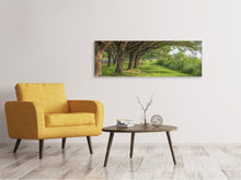 Laden Sie das Bild in den Galerie-Viewer, Leinwandbild Panorama Alter Baumbestand