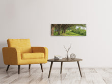 Laden Sie das Bild in den Galerie-Viewer, Leinwandbild Panorama Alter Baumbestand