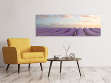 Laden Sie das Bild in den Galerie-Viewer, Leinwandbild Panorama Das blühende Lavendelfeld
