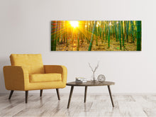 Laden Sie das Bild in den Galerie-Viewer, Leinwandbild Panorama Bambusse