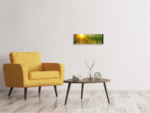 Laden Sie das Bild in den Galerie-Viewer, Leinwandbild Panorama Bambusse