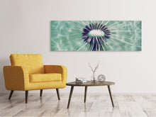 Laden Sie das Bild in den Galerie-Viewer, Leinwandbild Panorama Close Up Pusteblume
