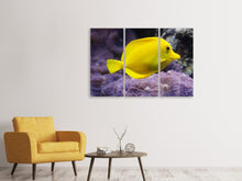 Laden Sie das Bild in den Galerie-Viewer, Leinwandbild 3-teilig Der Zitronen-Doktorfisch