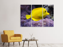 Laden Sie das Bild in den Galerie-Viewer, Leinwandbild 3-teilig Der Zitronen-Doktorfisch