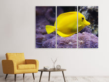 Laden Sie das Bild in den Galerie-Viewer, Leinwandbild 3-teilig Der Zitronen-Doktorfisch