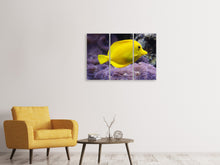 Laden Sie das Bild in den Galerie-Viewer, Leinwandbild 3-teilig Der Zitronen-Doktorfisch